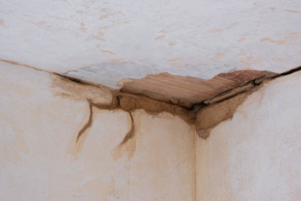 Best Basement water damage restoration  in Kerrville, TX