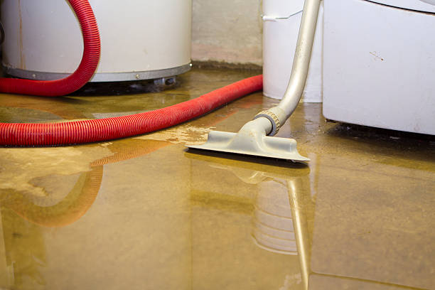 Best Basement water damage restoration  in Kerrville, TX
