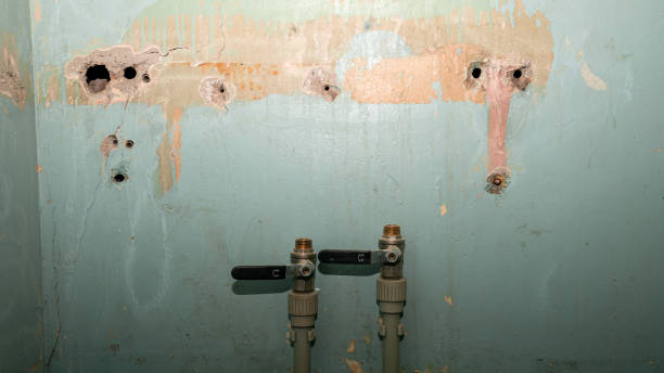 Best Mold removal after water damage  in Kerrville, TX